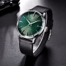 Часы наручные Pagani Design PD-2770 L black-green